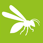 (c) Smart-insektenschutz.ch